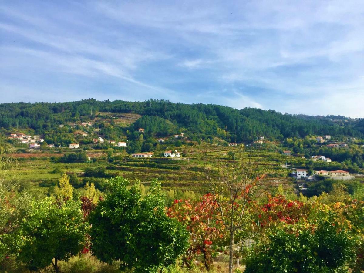 Quinta Do Peso Villa Amarante Eksteriør billede
